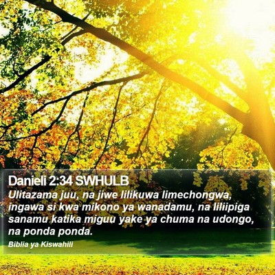 Danieli 2:34 SWHULB Bible Verse Image