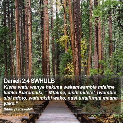 Danieli 2:4 SWHULB Bible Verse Image