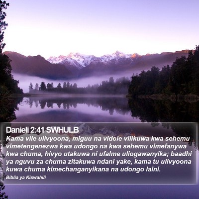 Danieli 2:41 SWHULB Bible Verse Image