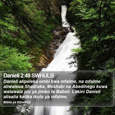 Danieli 2:49 SWHULB Bible Verse Image