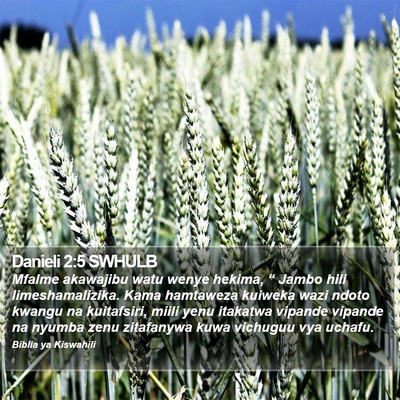 Danieli 2:5 SWHULB Bible Verse Image