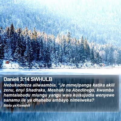 Danieli 3:14 SWHULB Bible Verse Image