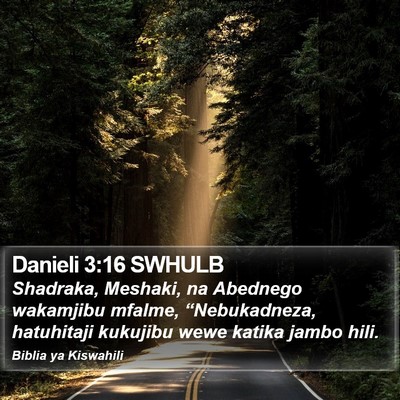 Danieli 3:16 SWHULB Bible Verse Image