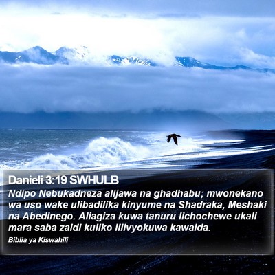 Danieli 3:19 SWHULB Bible Verse Image