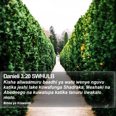 Danieli 3:20 SWHULB Bible Verse Image