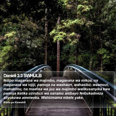 Danieli 3:3 SWHULB Bible Verse Image
