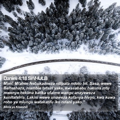 Danieli 4:18 SWHULB Bible Verse Image