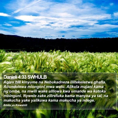 Danieli 4:33 SWHULB Bible Verse Image