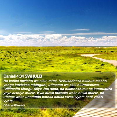 Danieli 4:34 SWHULB Bible Verse Image