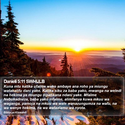Danieli 5:11 SWHULB Bible Verse Image