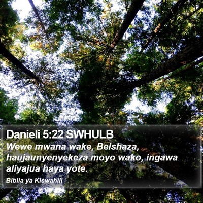 Danieli 5:22 SWHULB Bible Verse Image