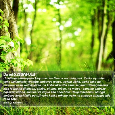 Danieli 5:23 SWHULB Bible Verse Image