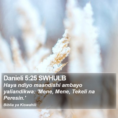 Danieli 5:25 SWHULB Bible Verse Image