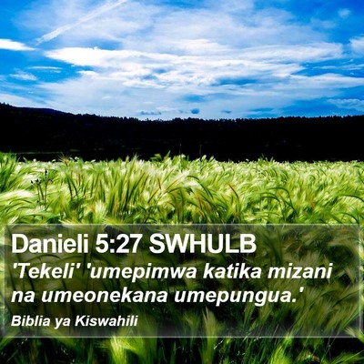 Danieli 5:27 SWHULB Bible Verse Image