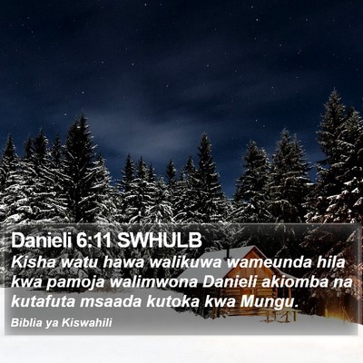 Danieli 6:11 SWHULB Bible Verse Image