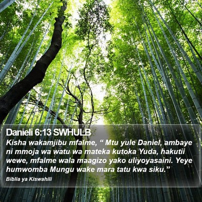 Danieli 6:13 SWHULB Bible Verse Image