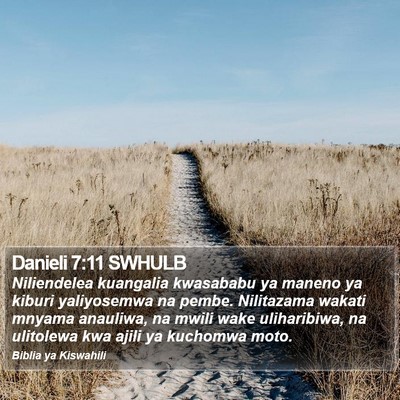 Danieli 7:11 SWHULB Bible Verse Image