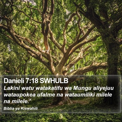 Danieli 7:18 SWHULB Bible Verse Image