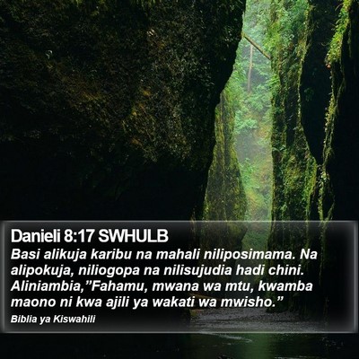 Danieli 8:17 SWHULB Bible Verse Image