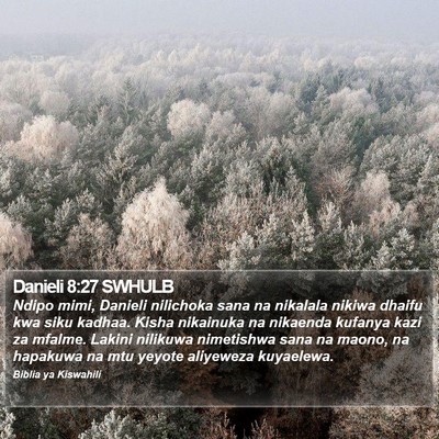 Danieli 8:27 SWHULB Bible Verse Image