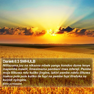 Danieli 8:3 SWHULB Bible Verse Image