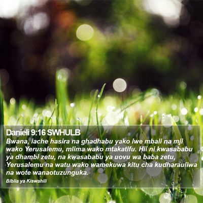 Danieli 9:16 SWHULB Bible Verse Image