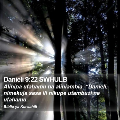 Danieli 9:22 SWHULB Bible Verse Image
