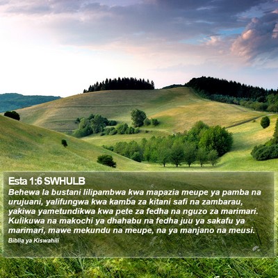 Esta 1:6 SWHULB Bible Verse Image