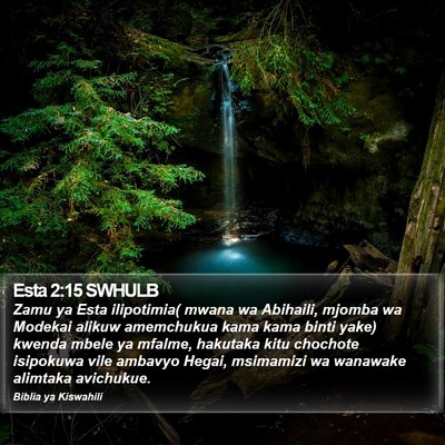 Esta 2:15 SWHULB Bible Verse Image