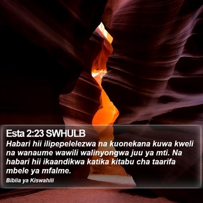 Esta 2:23 SWHULB Bible Verse Image