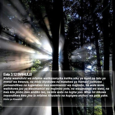 Esta 3:12 SWHULB Bible Verse Image