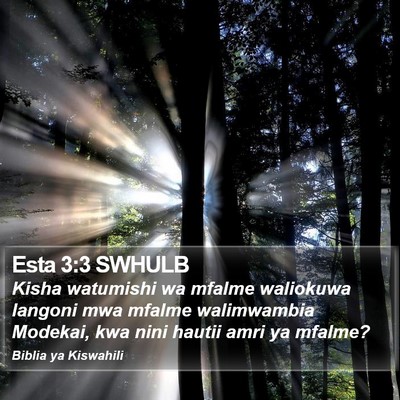 Esta 3:3 SWHULB Bible Verse Image
