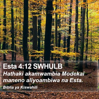 Esta 4:12 SWHULB Bible Verse Image