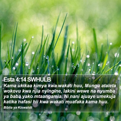 Esta 4:14 SWHULB Bible Verse Image
