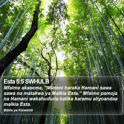 Esta 5:5 SWHULB Bible Verse Image