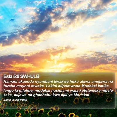 Esta 5:9 SWHULB Bible Verse Image