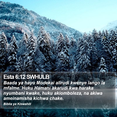 Esta 6:12 SWHULB Bible Verse Image