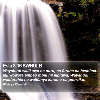 Esta 8:16 SWHULB Bible Verse Image