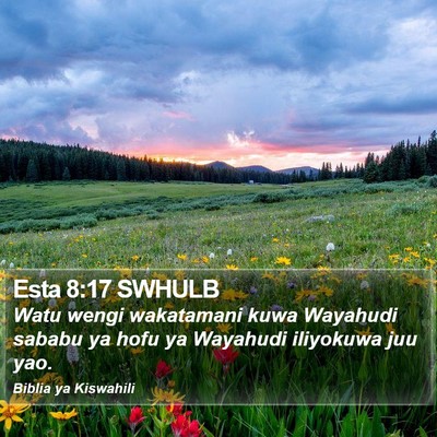 Esta 8:17 SWHULB Bible Verse Image