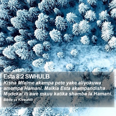 Esta 8:2 SWHULB Bible Verse Image