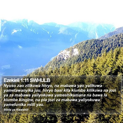 Ezekieli 1:11 SWHULB Bible Verse Image