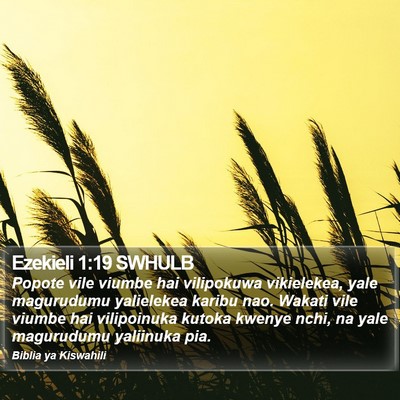 Ezekieli 1:19 SWHULB Bible Verse Image