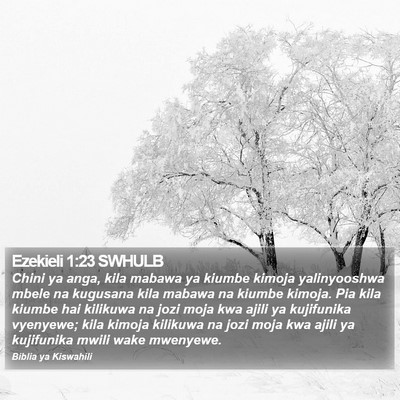 Ezekieli 1:23 SWHULB Bible Verse Image