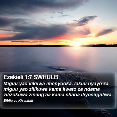 Ezekieli 1:7 SWHULB Bible Verse Image
