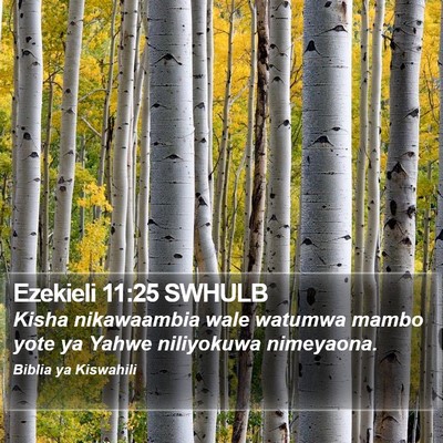 Ezekieli 11:25 SWHULB Bible Verse Image