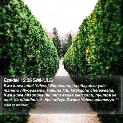 Ezekieli 12:25 SWHULB Bible Verse Image