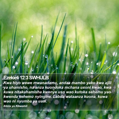Ezekieli 12:3 SWHULB Bible Verse Image