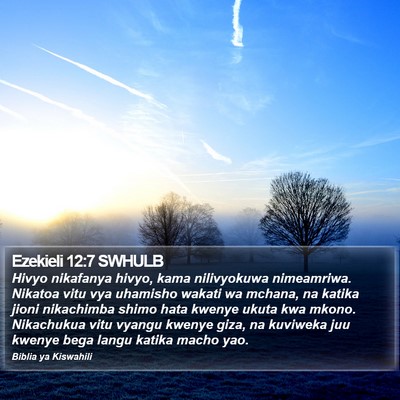 Ezekieli 12:7 SWHULB Bible Verse Image