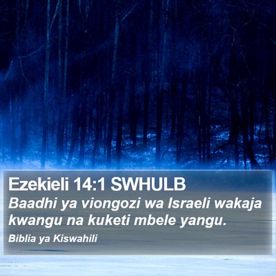 Ezekieli 14:1 SWHULB Bible Verse Image