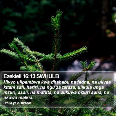 Ezekieli 16:13 SWHULB Bible Verse Image